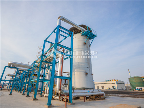 2000萬大卡燃氣導熱油鍋爐的項目案例有哪些?