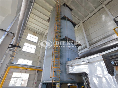 500萬大卡燃氣導熱油鍋爐成功案例項目