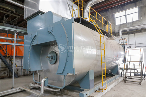 福建鍋爐廠20噸燃氣導熱油爐